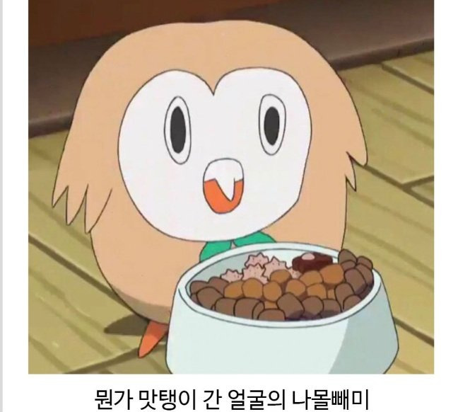 포켓몬 보다가 발견한 작붕ㅋㅋㅋㅋ.jpg | 인스티즈