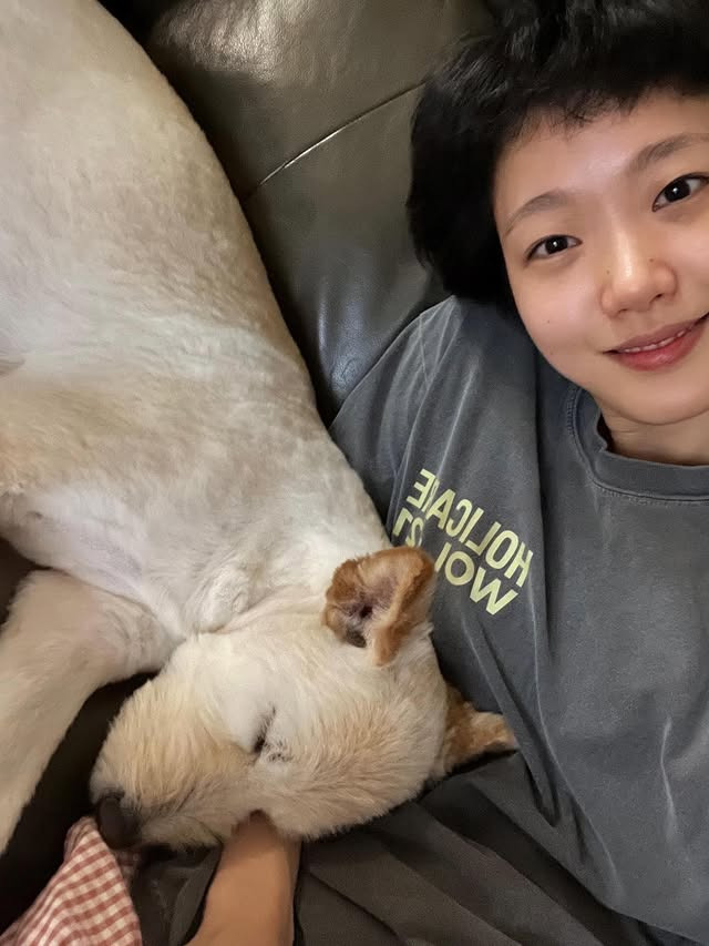 김고은 vs 김다미 : 더 좋은 쪽은? | 인스티즈