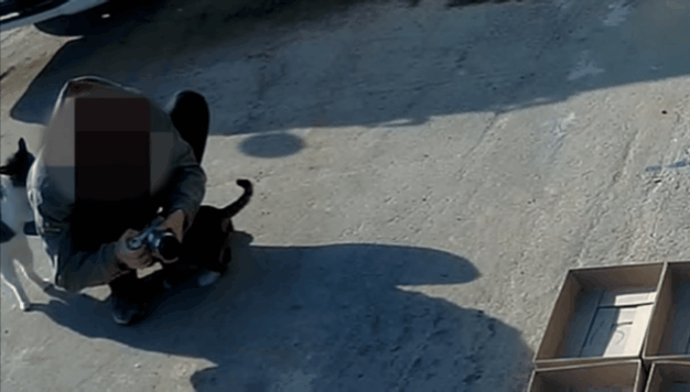 haha ha네 냥이들 질투 모먼트 모음.. | 인스티즈