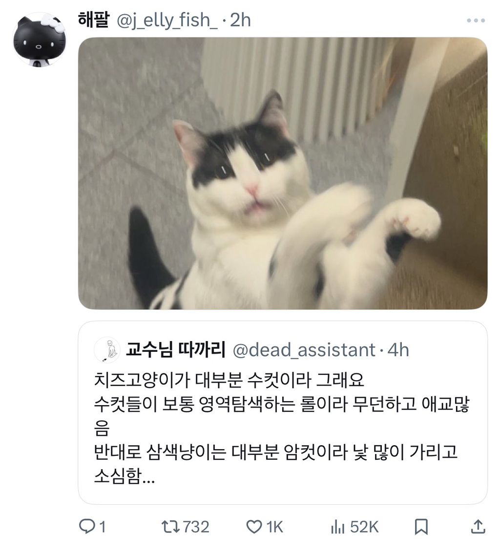 근데 젖소냥이들은 도대체 뭐가 문제임?.jpg | 인스티즈