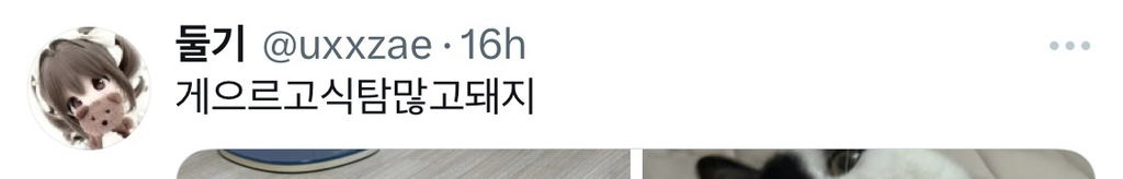 근데 젖소냥이들은 도대체 뭐가 문제임?.jpg | 인스티즈