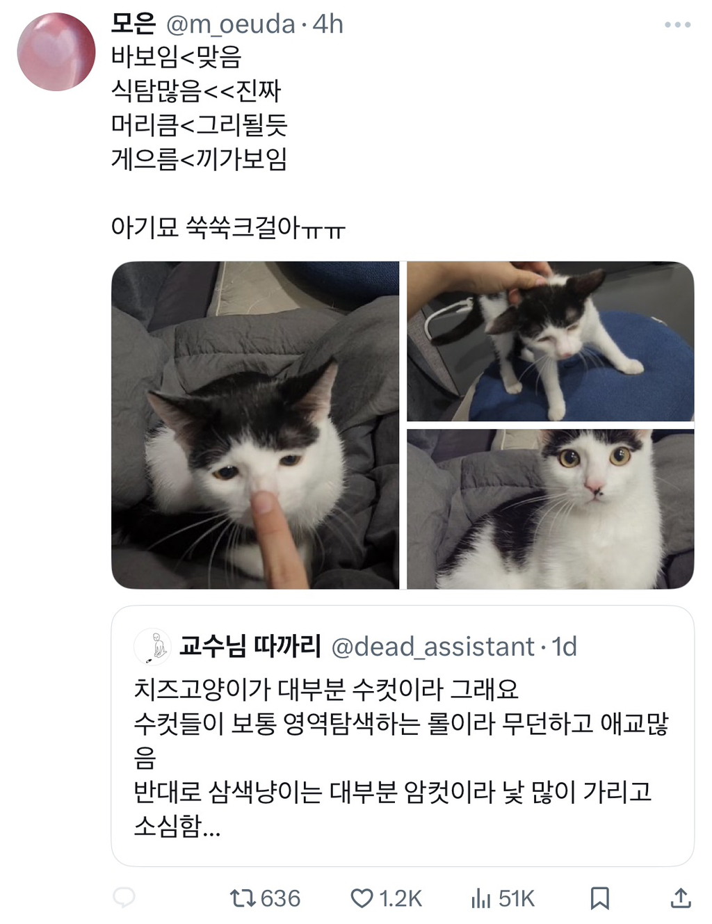 근데 젖소냥이들은 도대체 뭐가 문제임?.jpg | 인스티즈