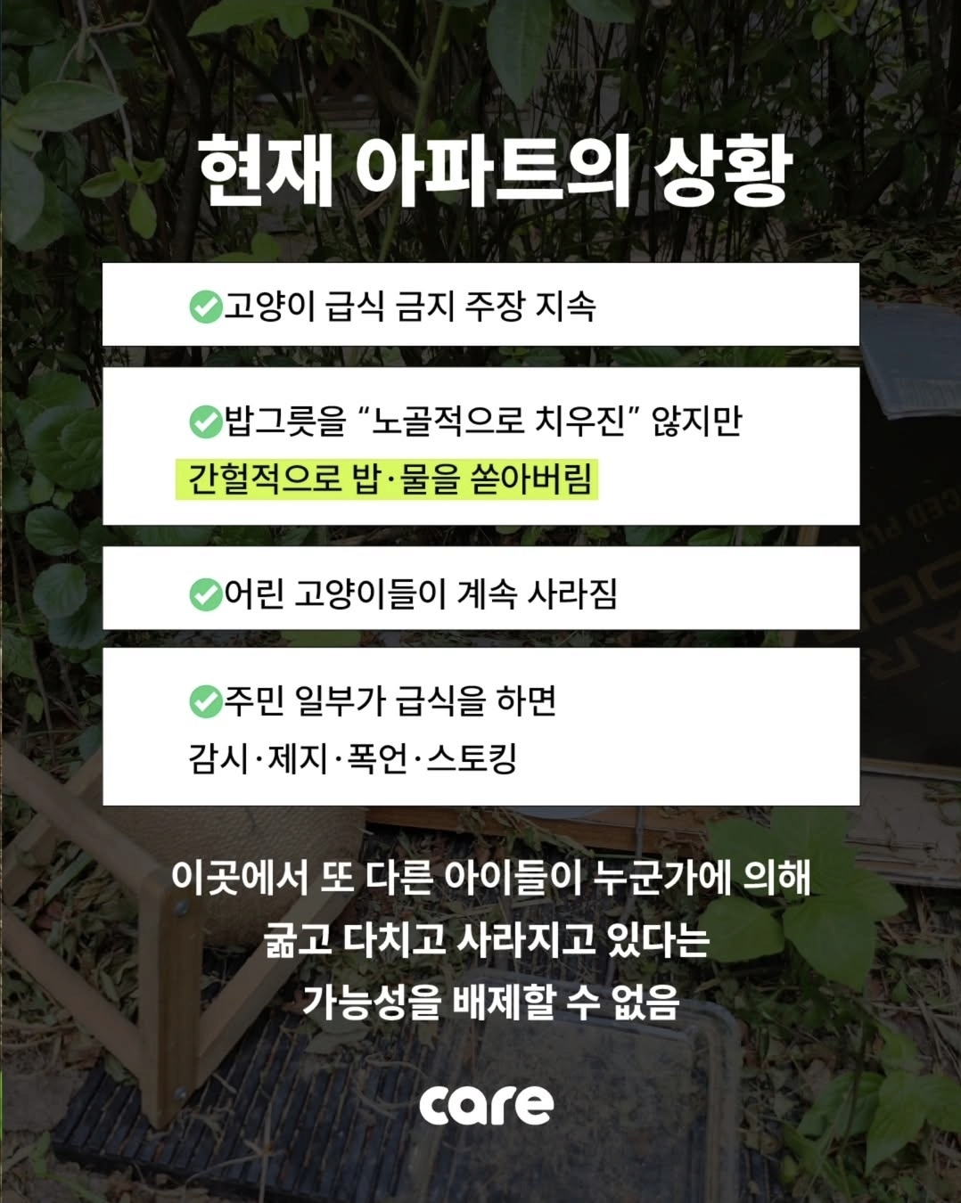 부검한 아기 길고양이 뱃속에는 가는 나뭇가지만.. | 인스티즈