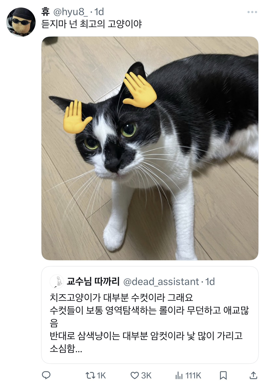 근데 젖소냥이들은 도대체 뭐가 문제임?.jpg | 인스티즈