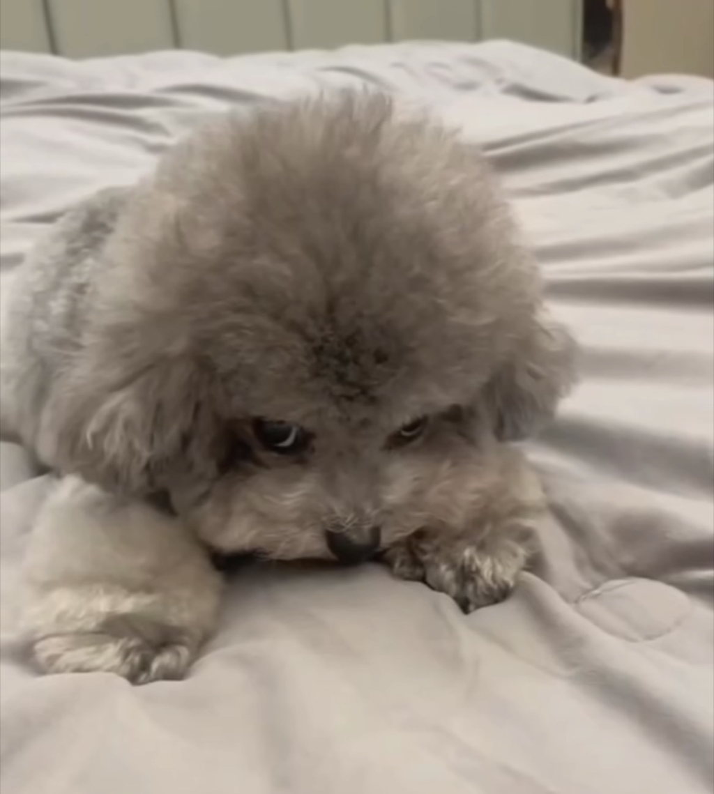 뭔가 할말이 많은듯 하다 | 인스티즈