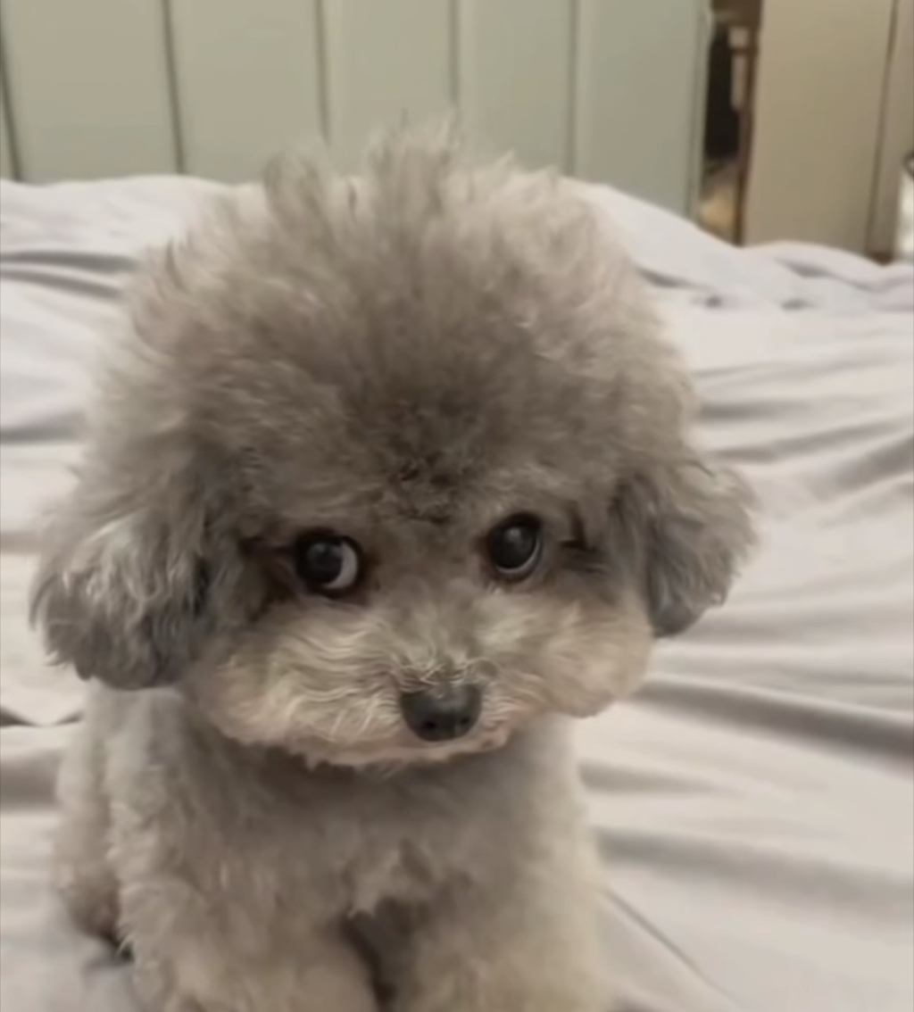 뭔가 할말이 많은듯 하다 | 인스티즈