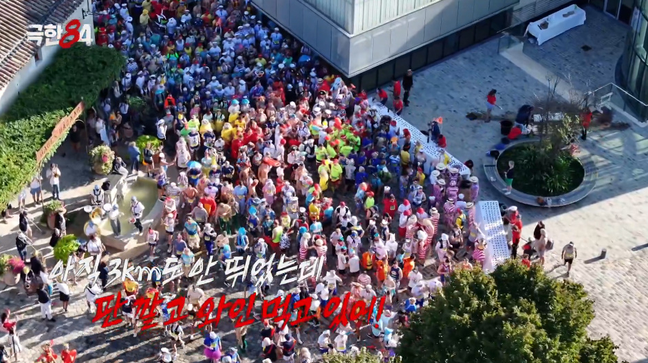 경기의 취지가 궁금한 프랑스 메독 마라톤.jpg | 인스티즈