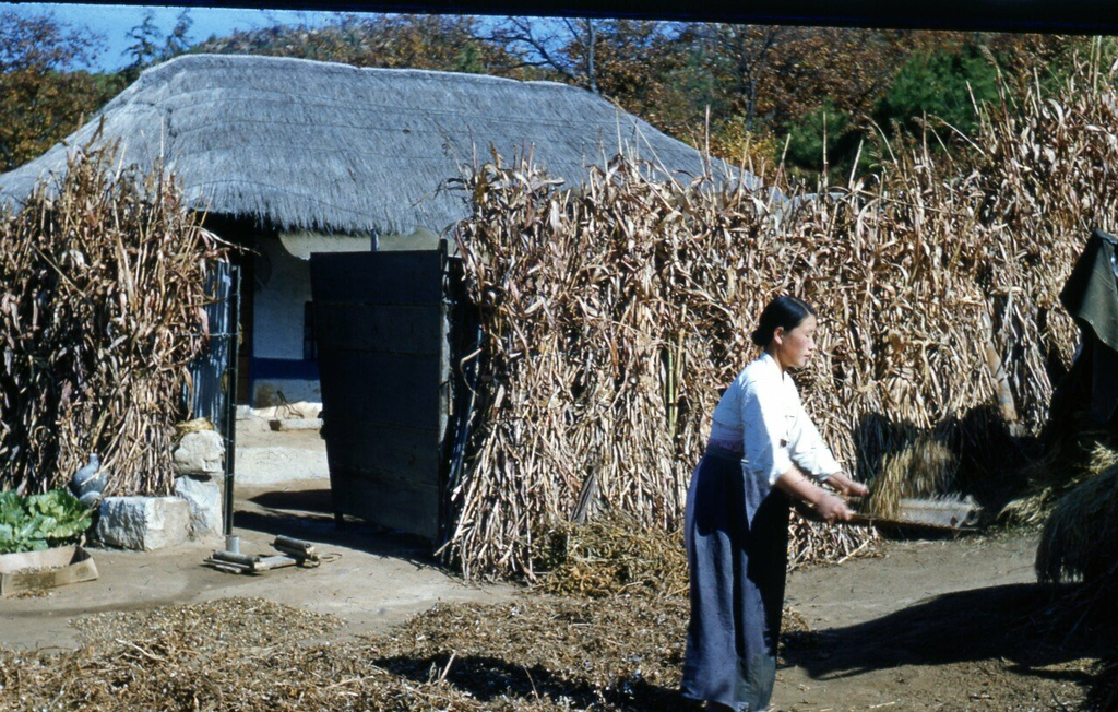 컬러로 보는 6.25전쟁 당시의 대한민국 | 인스티즈