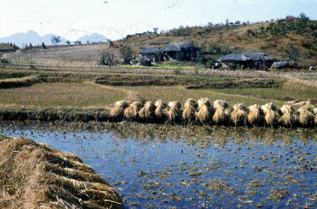 컬러로 보는 6.25전쟁 당시의 대한민국 | 인스티즈