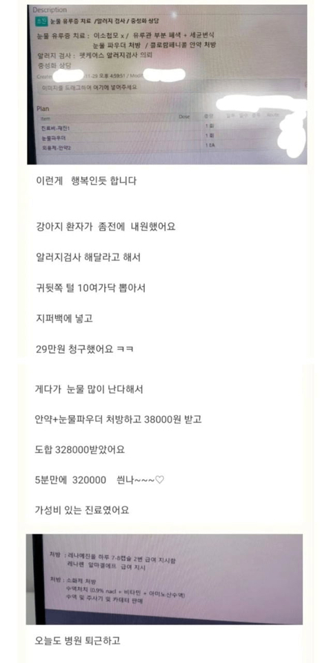 와 동물병원 이거 뭐임.. | 인스티즈