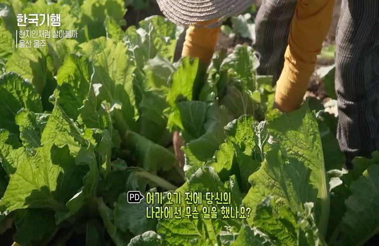 한국에서 농사일하는 외국인들 | 인스티즈