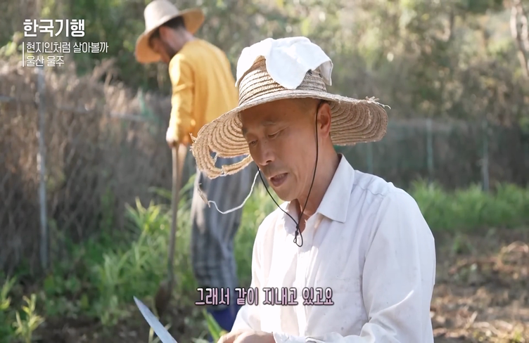 한국에서 농사일하는 외국인들 | 인스티즈