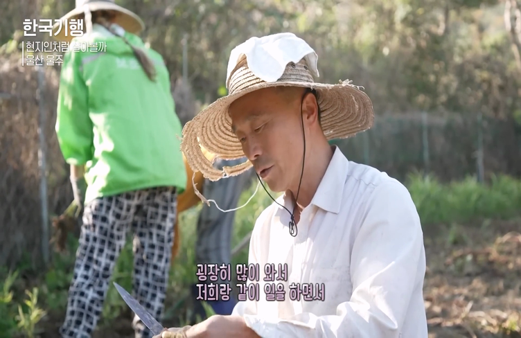 한국에서 농사일하는 외국인들 | 인스티즈