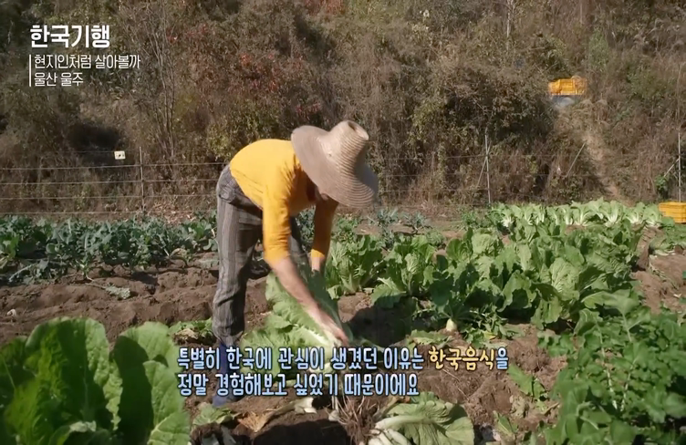 한국에서 농사일하는 외국인들 | 인스티즈