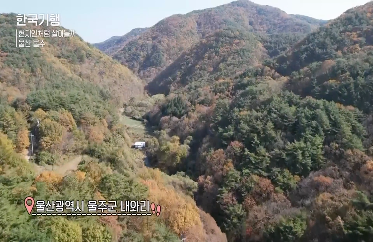 한국에서 농사일하는 외국인들 | 인스티즈