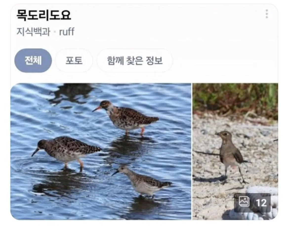 너무 춥네요 겉옷 잘 챙겨입으세요 그리고... | 인스티즈