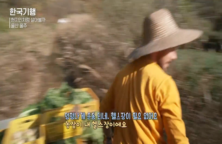 한국에서 농사일하는 외국인들 | 인스티즈