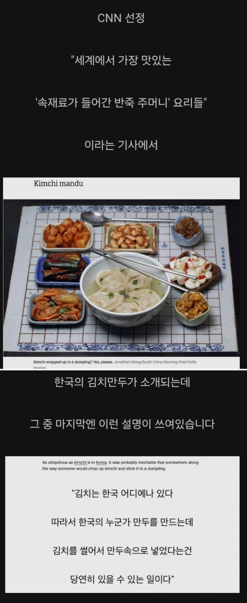 필연적인 존재로 설명된 김치만두 | 인스티즈