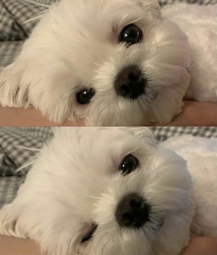 눈 마주쳤더니 윙크 | 인스티즈