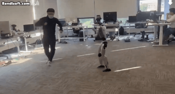 로봇실험 대참사.gif | 인스티즈