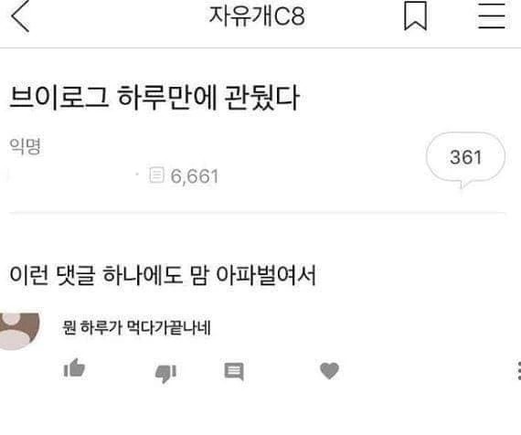 브이로그 하루만에 관둔 이유 | 인스티즈