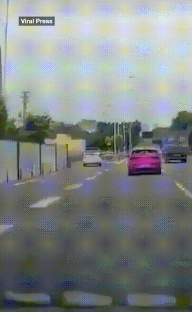 중국 황금 분수쇼 | 인스티즈