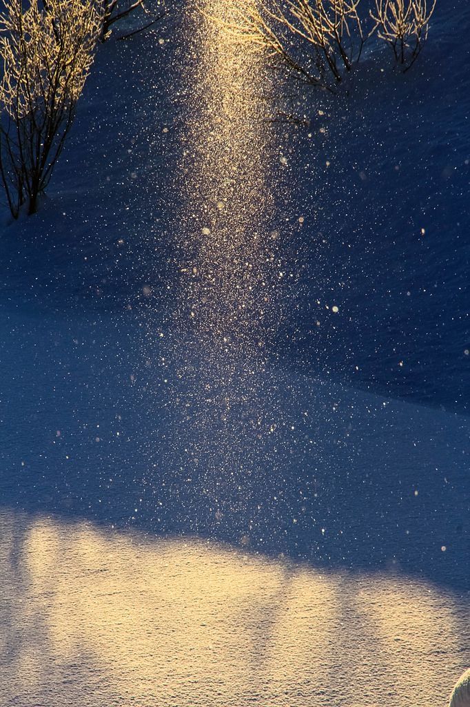 겨울 눈 풍경 | 인스티즈