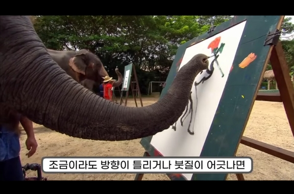 그림그리는 천재 코끼리.gif | 인스티즈