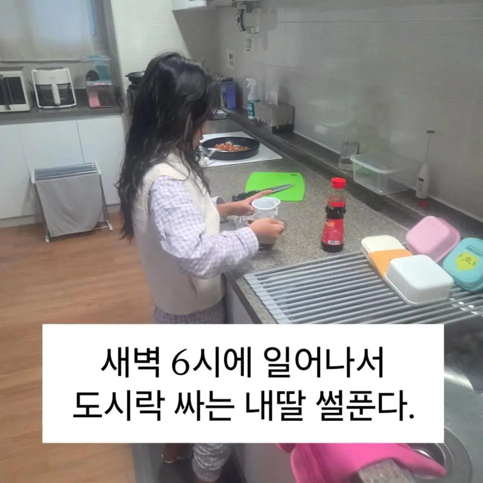 급식 파업으로 새벽 6시에 일어나서 도시락 싼다는 딸내미 | 인스티즈