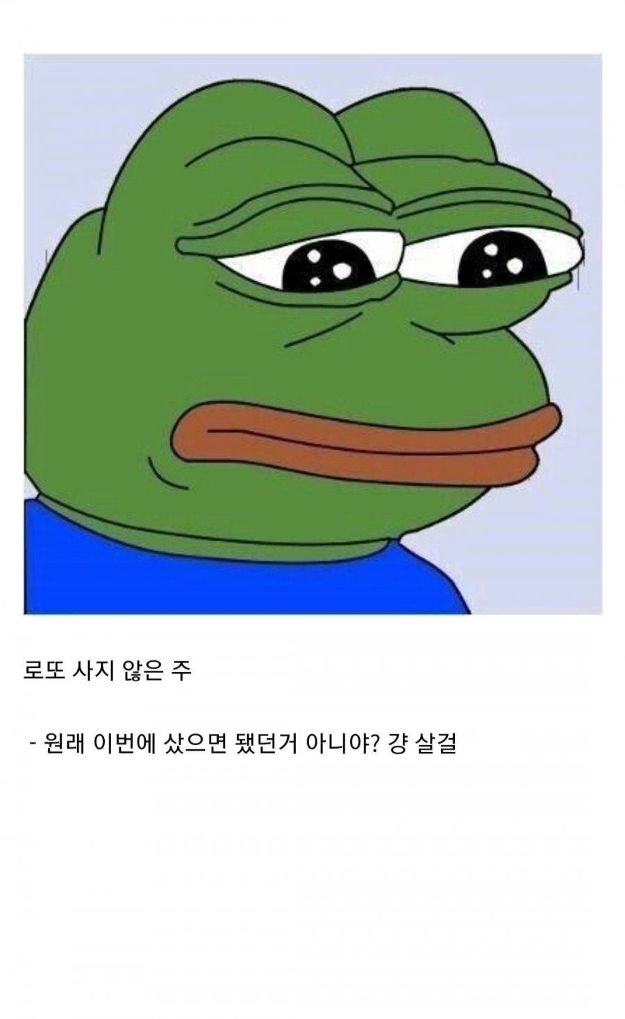 로또 구매 특징 | 인스티즈