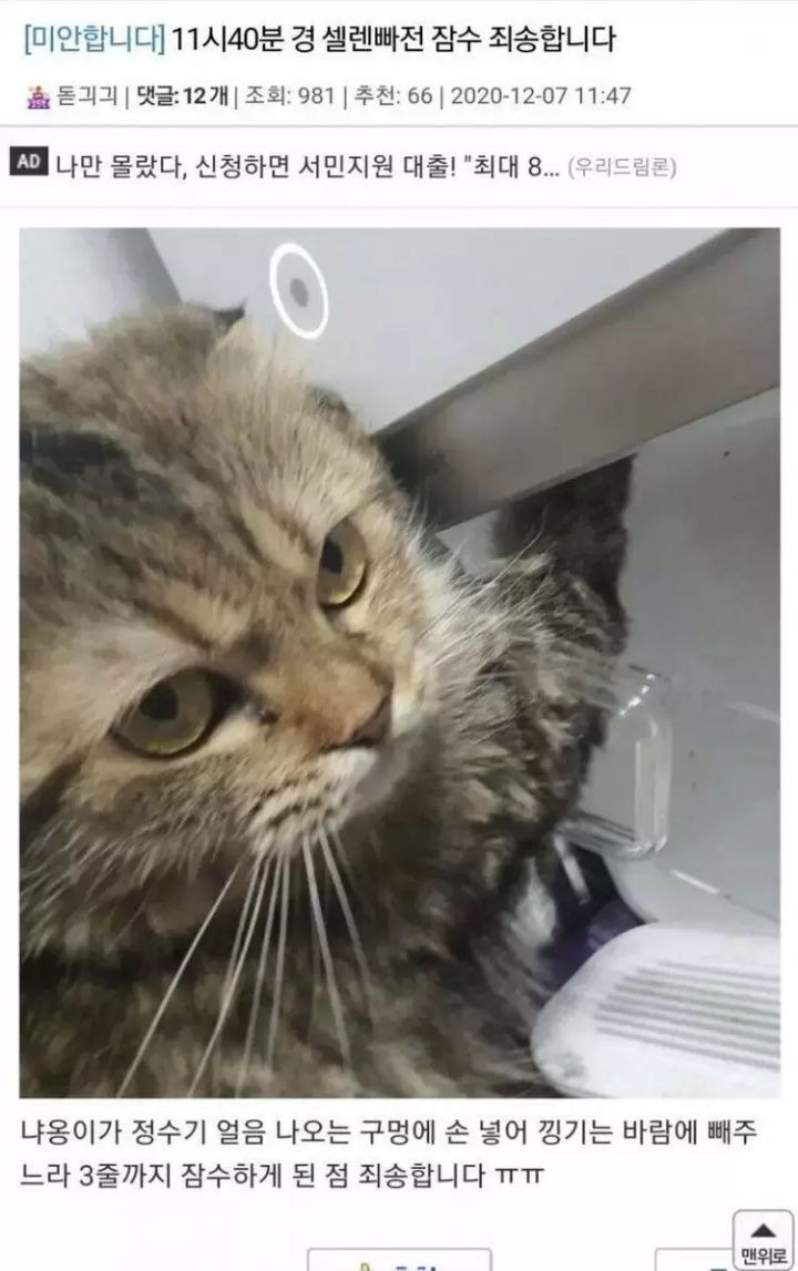 게임중에 잠수 타버린 이유 | 인스티즈