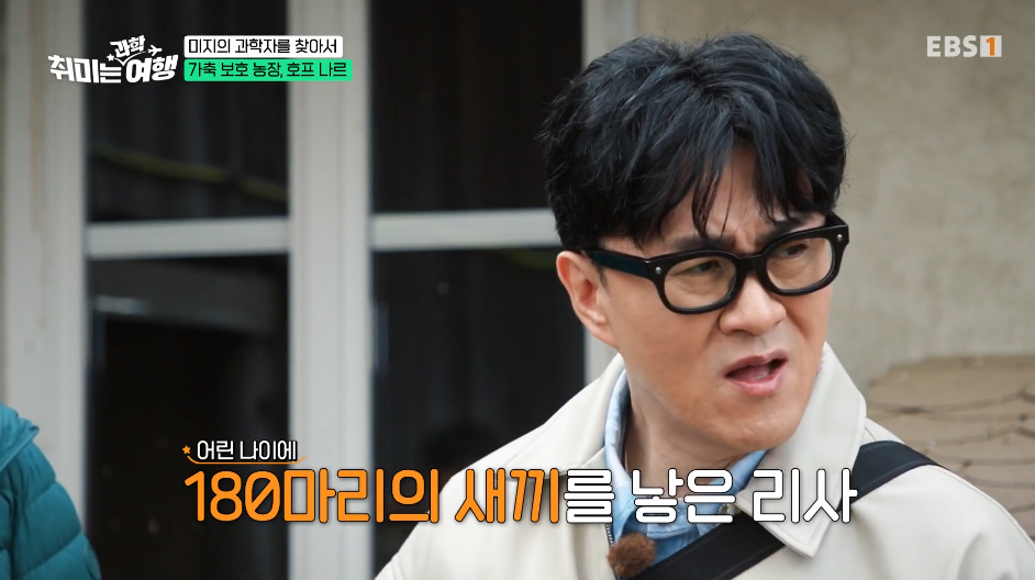 인간의 잔인함을 보여주는 갇혀서 새끼만 180마리 낳은 동물.jpg | 인스티즈