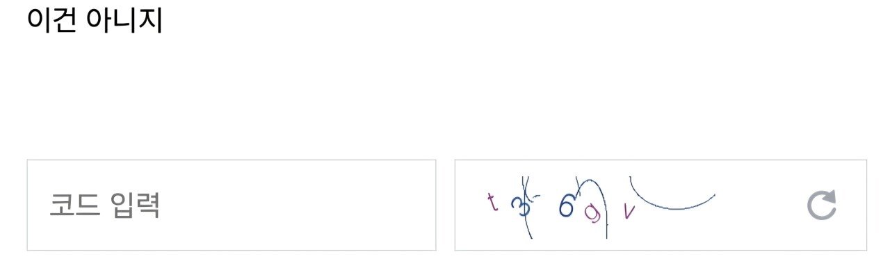뉴진스갤) 5-1 = 0 | 인스티즈