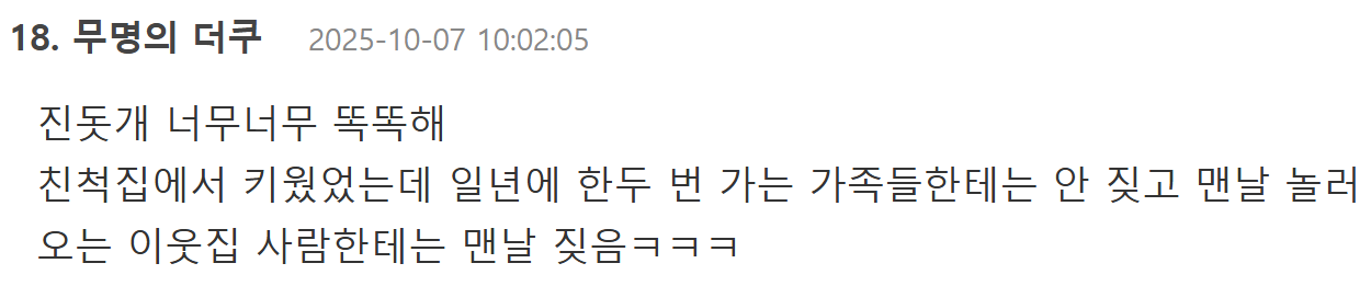 한국사람이랑 잘 맞는다는 진돗개 | 인스티즈