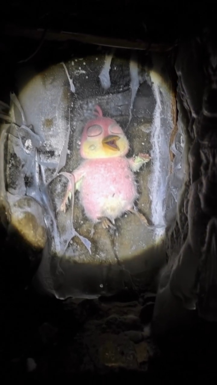 한때는 노는게 제일 좋았던 녀석들...mp4 | 인스티즈