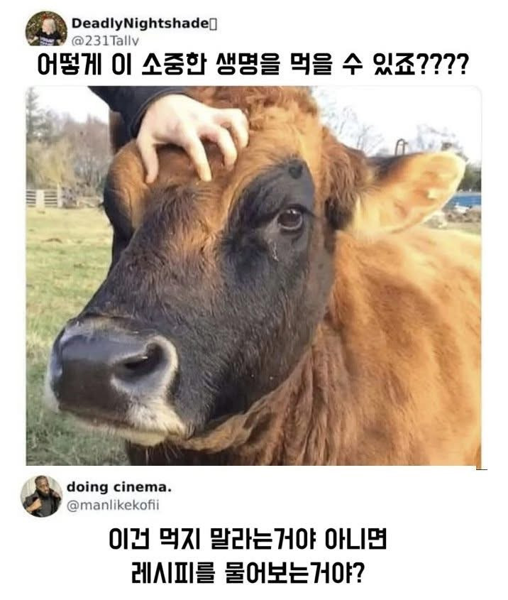 어떻게 이 소중한 생명을 먹을 수 있죠? | 인스티즈