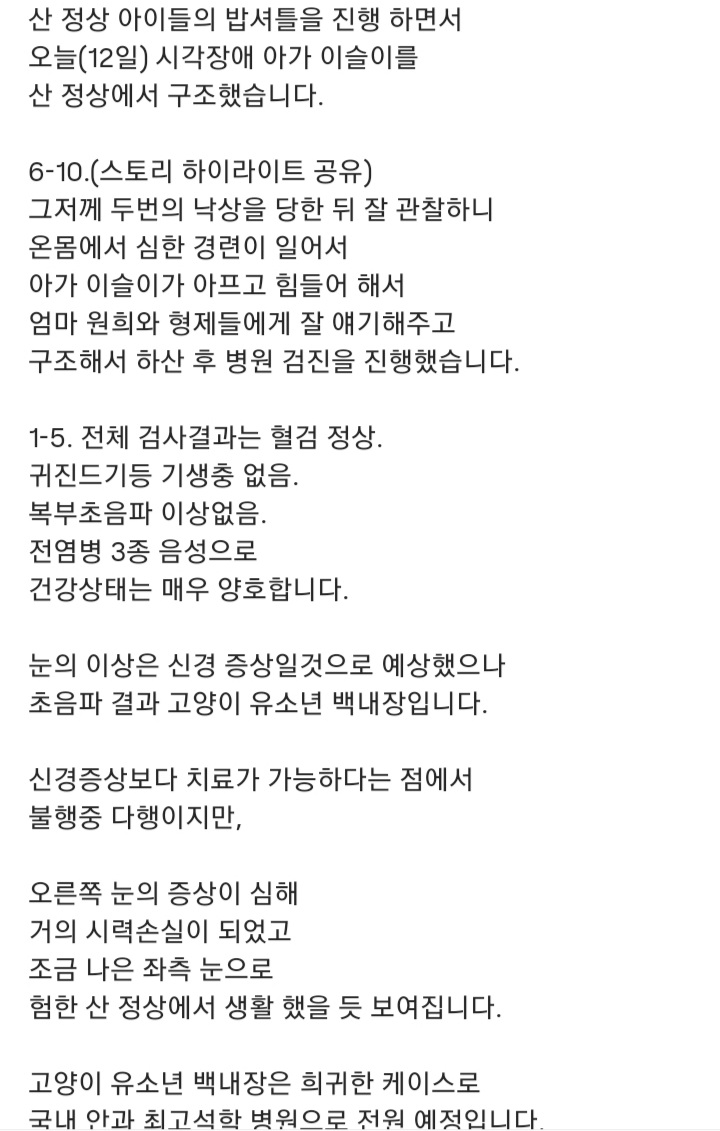 관악산에 사는 고양이들 밥주러 365일 산 타시는 집사님 이야기 들어봐주라. +아가냥들 입양소식 | 인스티즈
