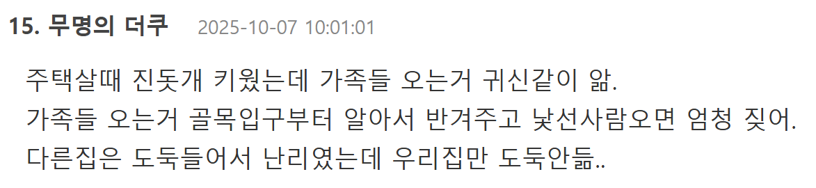 한국사람이랑 잘 맞는다는 진돗개 | 인스티즈