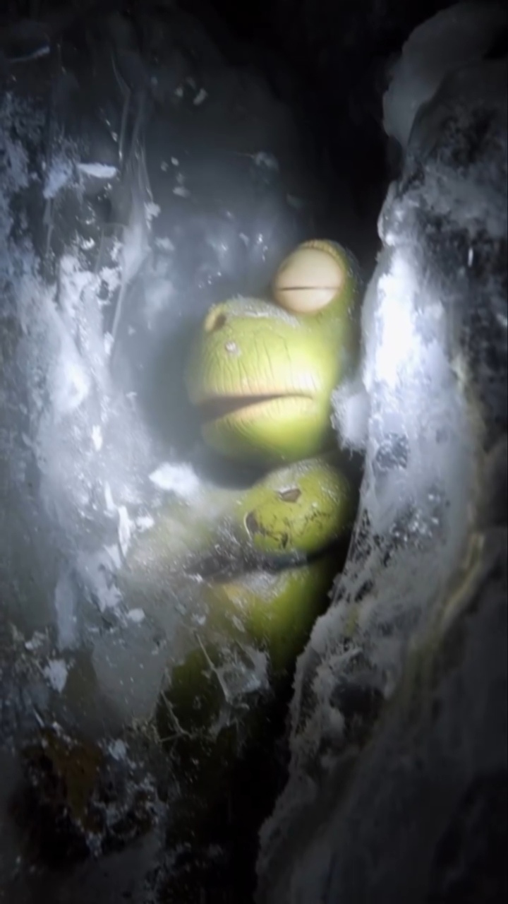 한때는 노는게 제일 좋았던 녀석들...mp4 | 인스티즈