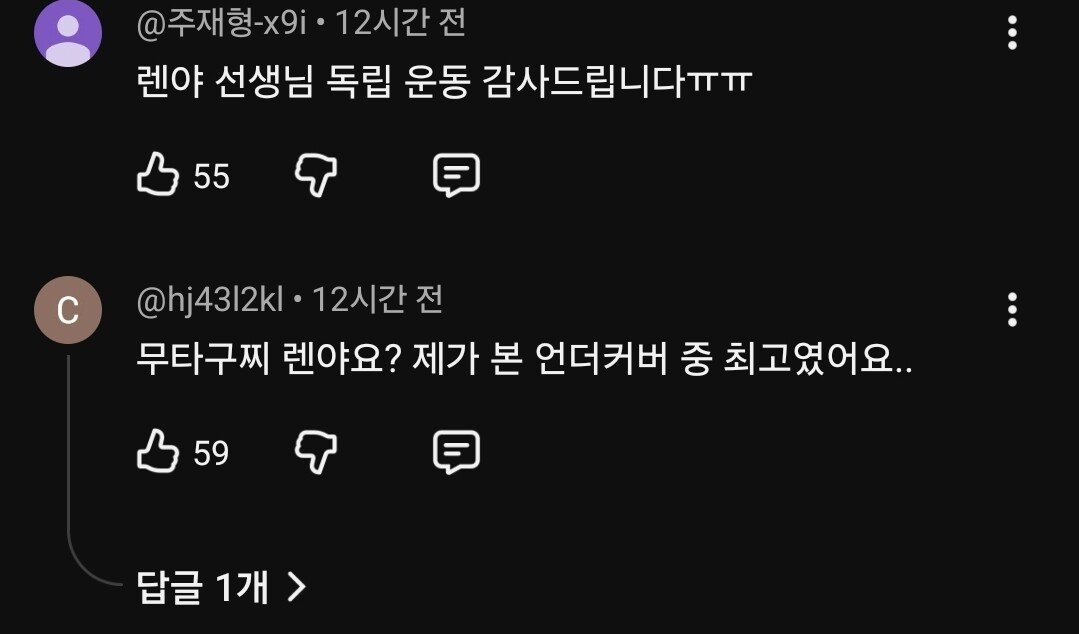 일본군 장군 찬양하는 한국 유튜브 채널 | 인스티즈