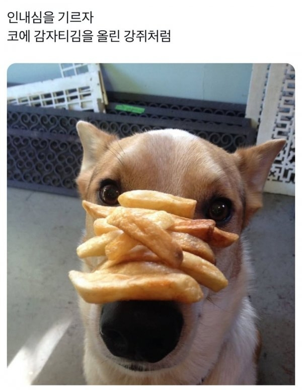 인내심을 기르자 | 인스티즈