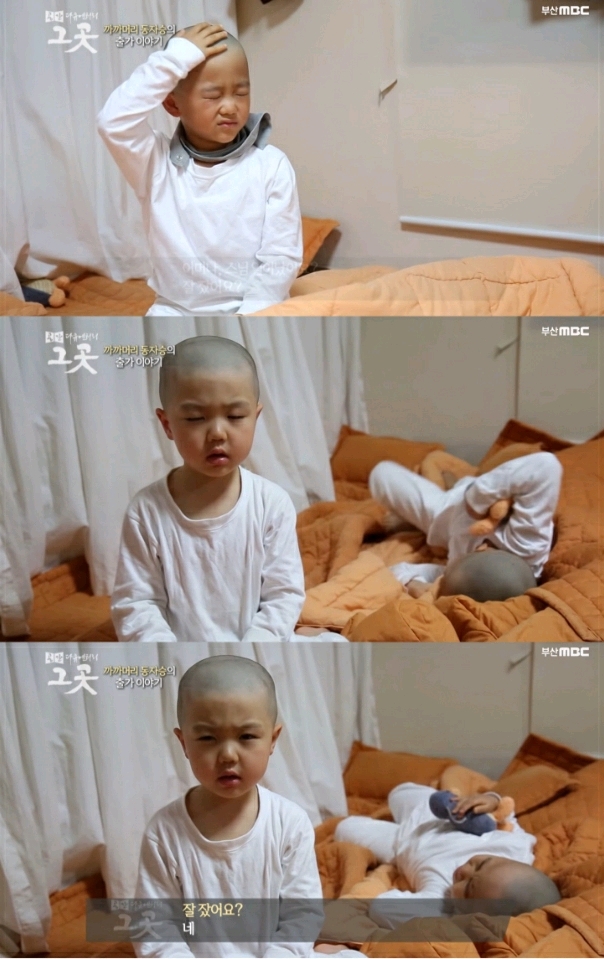까까머리 동자스님의 출가이야기.jpg (귀여움 주의) | 인스티즈