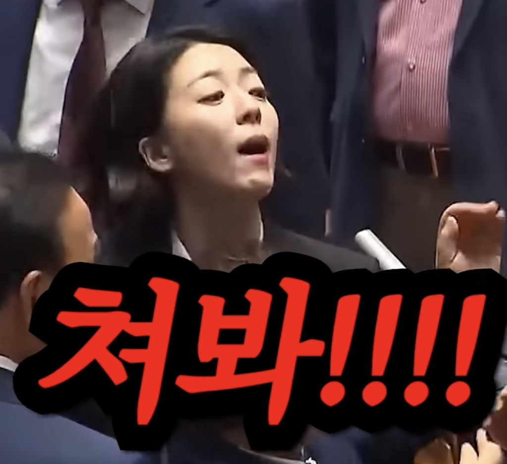 배현진 내로남불 레전드.gif | 인스티즈