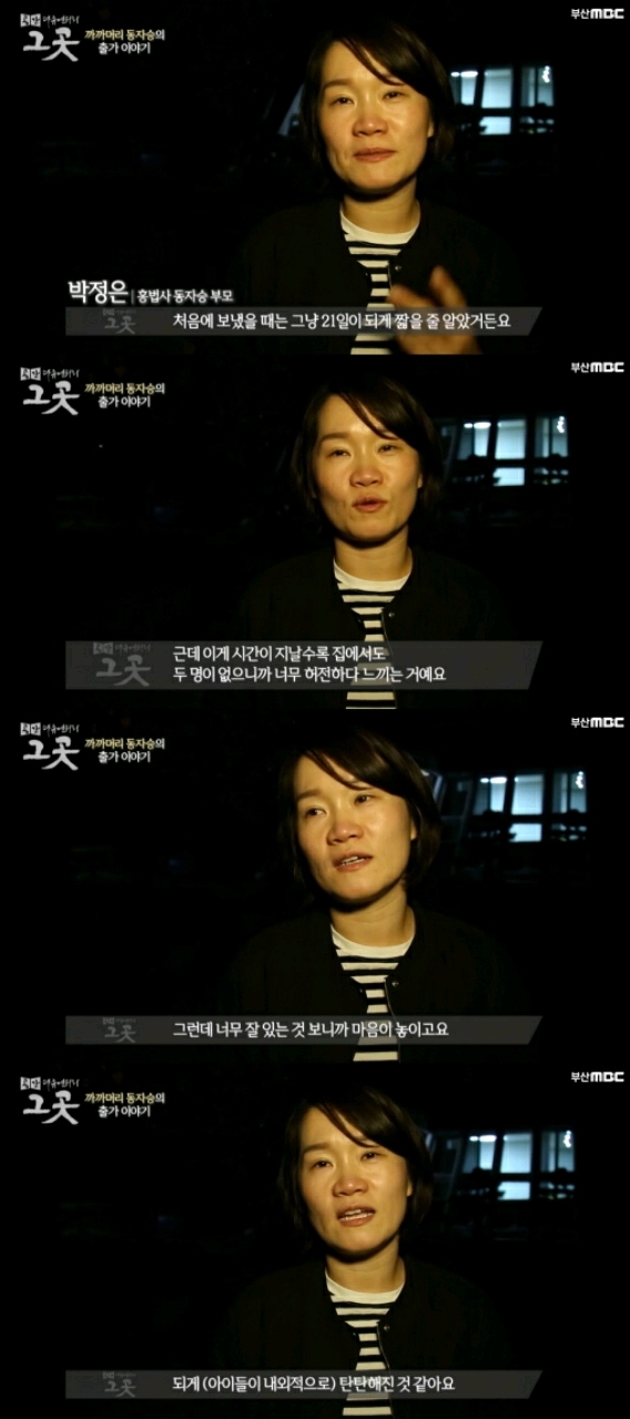 까까머리 동자스님의 출가이야기.jpg (귀여움 주의) | 인스티즈