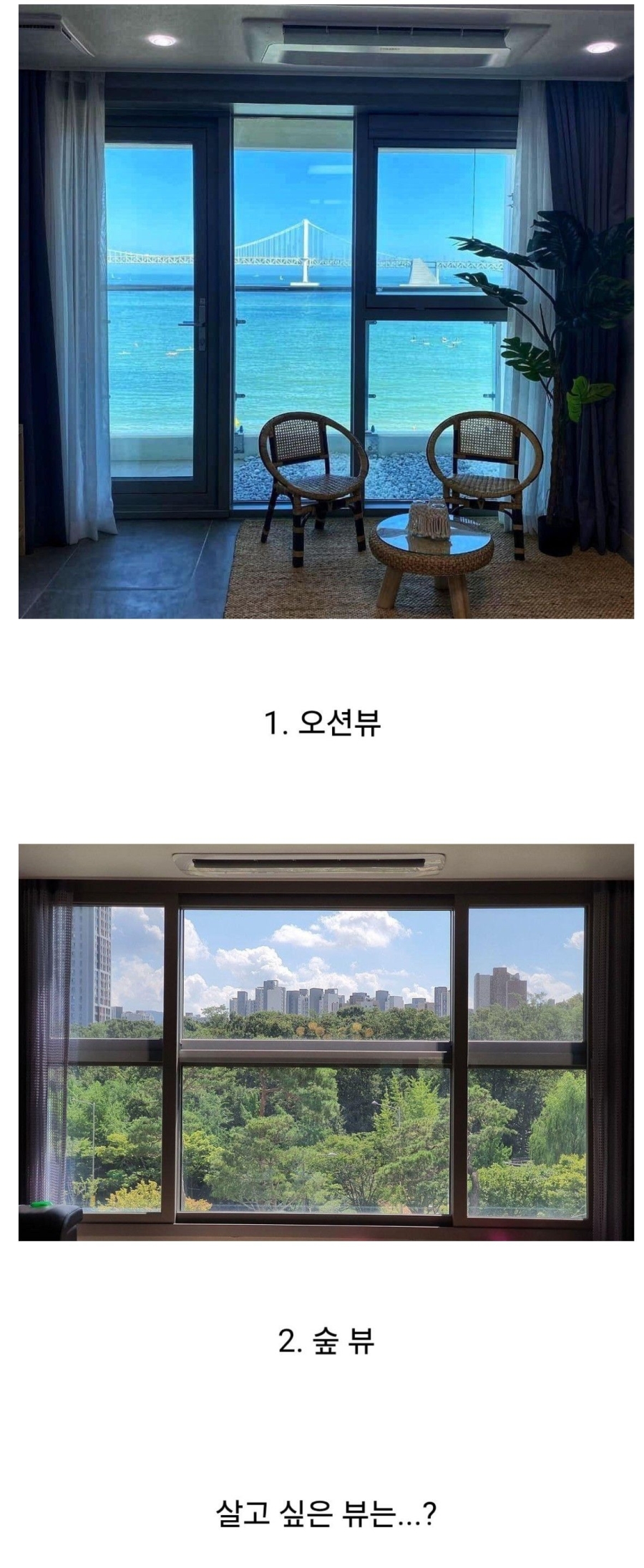 취향 갈리는 주거지 뷰 | 인스티즈