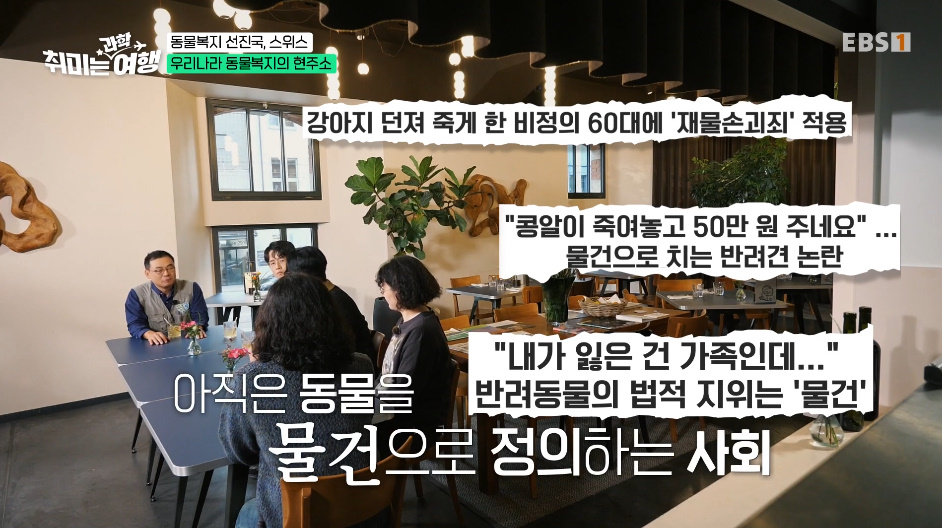 132년전부터 동물 무마취 도살법 등록했다는 스위스의 동물법.jpg | 인스티즈