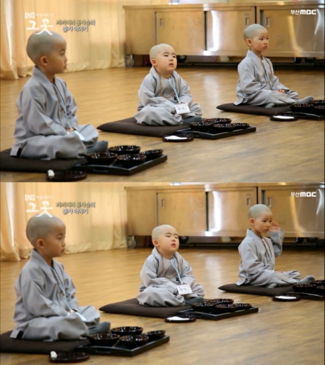 까까머리 동자스님의 출가이야기.jpg (귀여움 주의) | 인스티즈