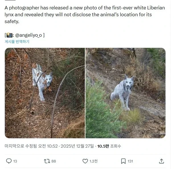 며칠 전 세계 최초로 공개 된 동물.jpg | 인스티즈