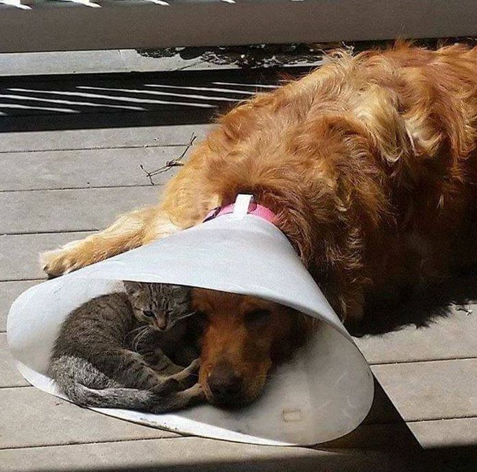 자리선점 | 인스티즈