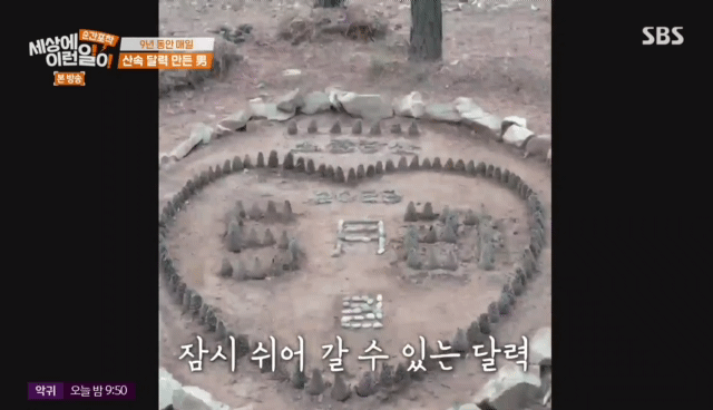 9년동안 매일 바뀌는 산속 의문의 달력.jpg | 인스티즈